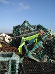 SX01374 Lobster pods and marker flag.jpg